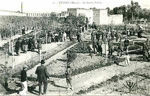 BIVEN Georges - 362 - Oujda